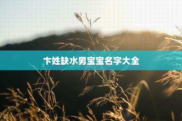卞姓缺水男宝宝名字大全