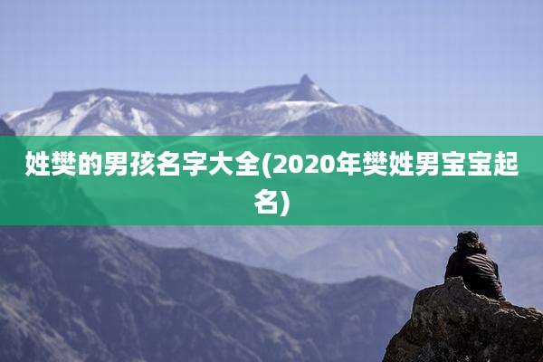 姓樊的男孩名字大全(2020年樊姓男宝宝起名)