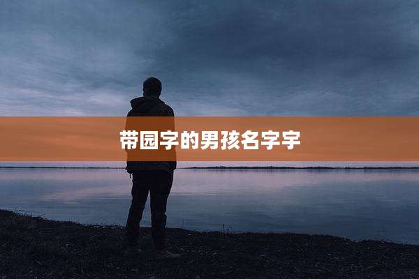 带园字的男孩名字宇