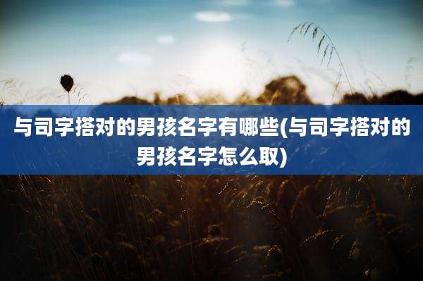 与司字搭对的男孩名字有哪些(与司字搭对的男孩名字怎么取)