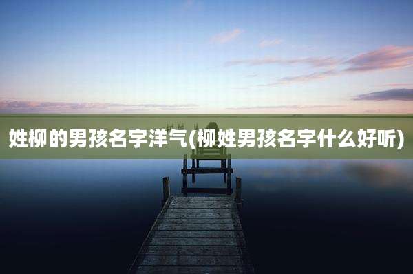 姓柳的男孩名字洋气(柳姓男孩名字什么好听)