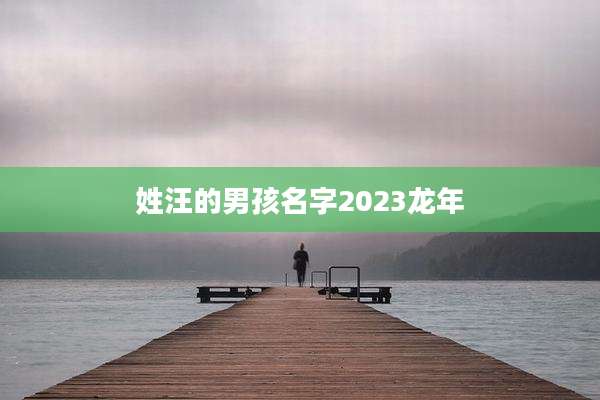 姓汪的男孩名字2023龙年
