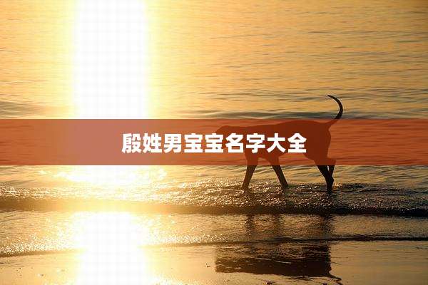 殷姓男宝宝名字大全