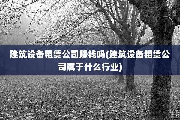 建筑设备租赁公司赚钱吗(建筑设备租赁公司属于什么行业)