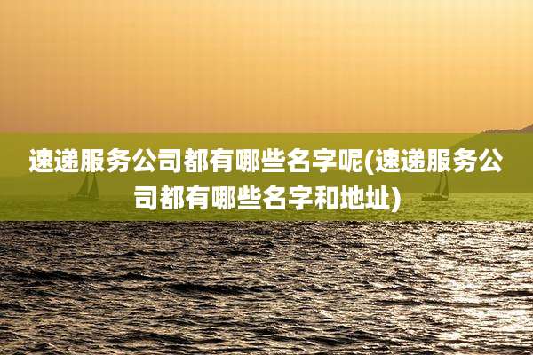 速递服务公司都有哪些名字呢(速递服务公司都有哪些名字和地址)