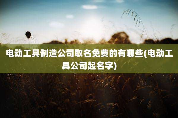 电动工具制造公司取名免费的有哪些(电动工具公司起名字)