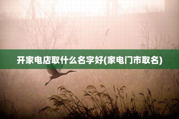 开家电店取什么名字好(家电门市取名)