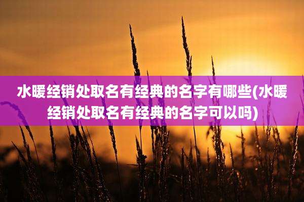 水暖经销处取名有经典的名字有哪些(水暖经销处取名有经典的名字可以吗)