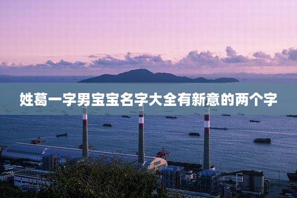 姓葛一字男宝宝名字大全有新意的两个字