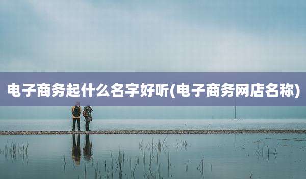 电子商务起什么名字好听(电子商务网店名称)