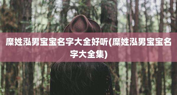 糜姓泓男宝宝名字大全好听(糜姓泓男宝宝名字大全集)