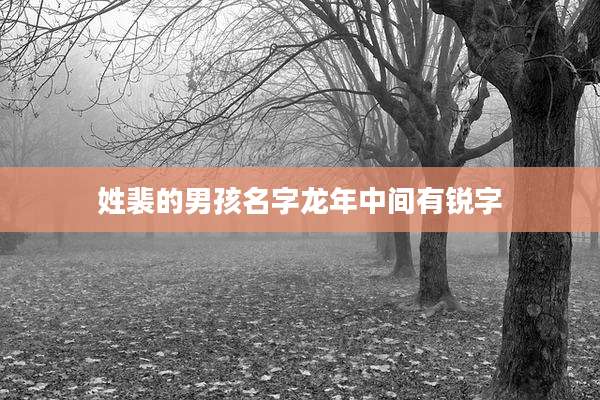 姓裴的男孩名字龙年中间有锐字