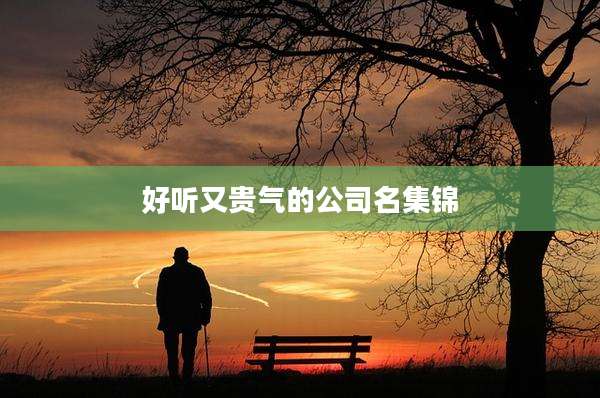 好听又贵气的公司名集锦