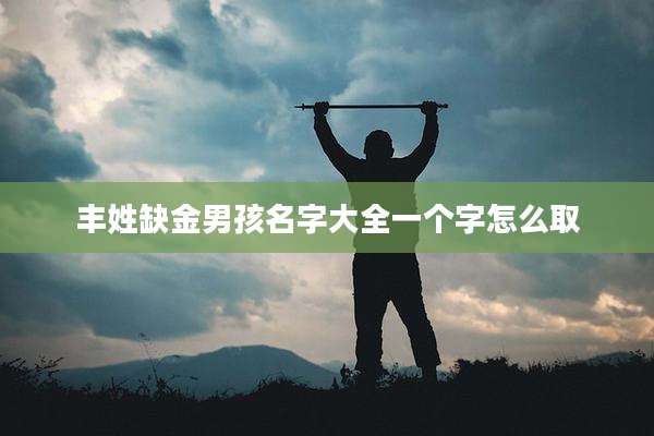 丰姓缺金男孩名字大全一个字怎么取