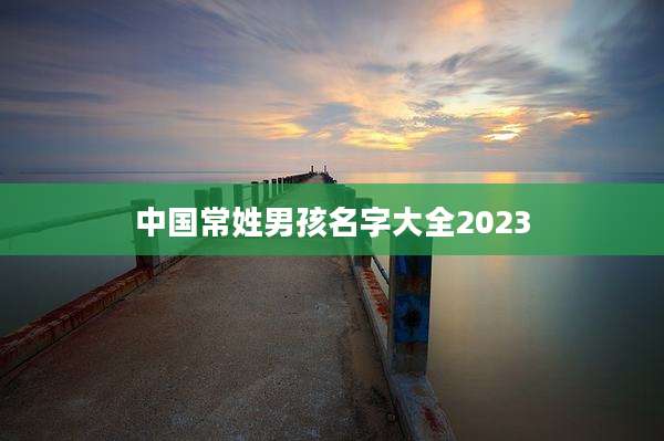 中国常姓男孩名字大全2023