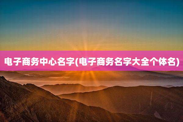 电子商务中心名字(电子商务名字大全个体名)