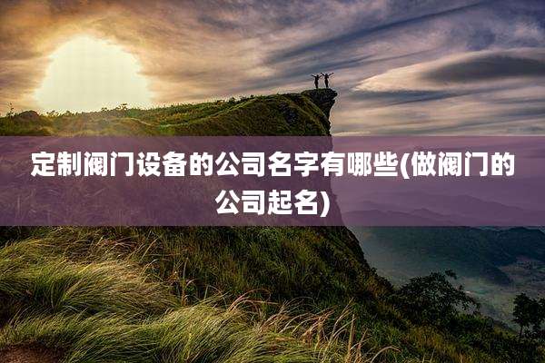 定制阀门设备的公司名字有哪些(做阀门的公司起名)