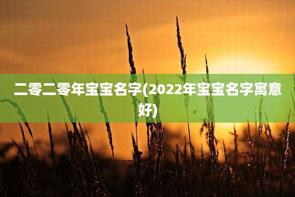 二零二零年宝宝名字(2022年宝宝名字寓意好)