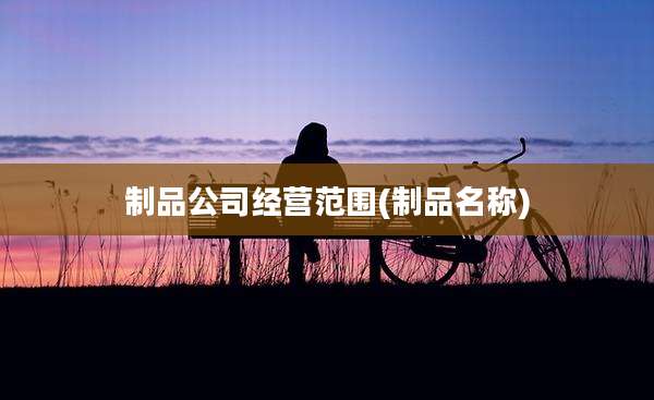 制品公司经营范围(制品名称)