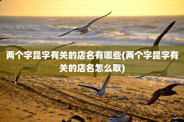 两个字昆字有关的店名有哪些(两个字昆字有关的店名怎么取)