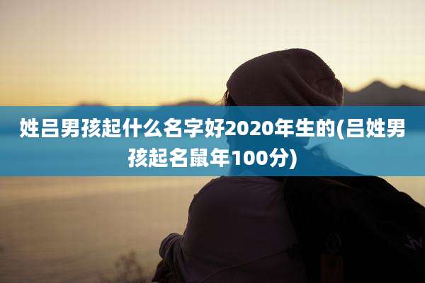 姓吕男孩起什么名字好2020年生的(吕姓男孩起名鼠年100分)