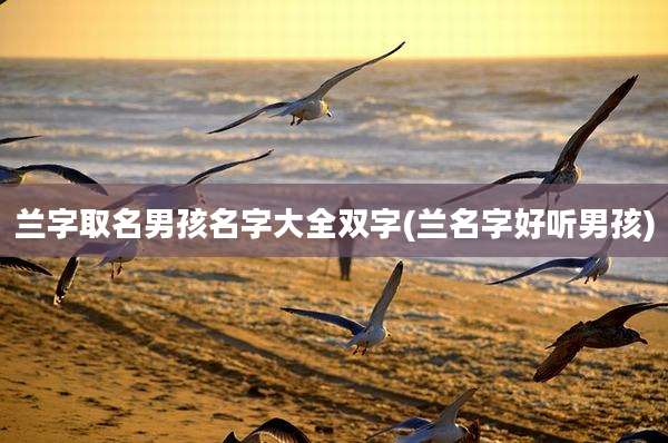 兰字取名男孩名字大全双字(兰名字好听男孩)
