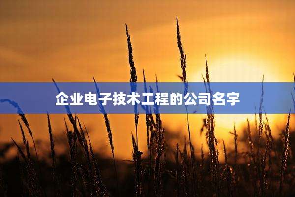 企业电子技术工程的公司名字
