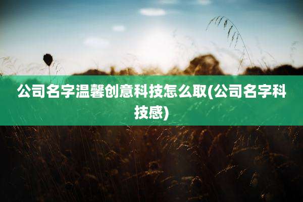公司名字温馨创意科技怎么取(公司名字科技感)