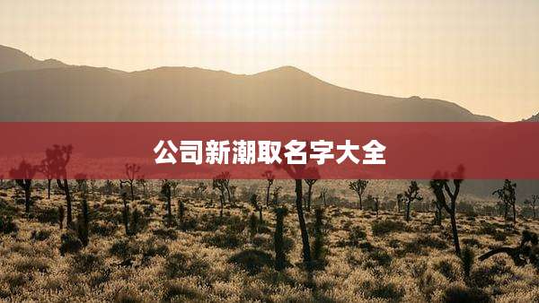 公司新潮取名字大全