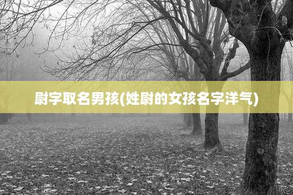 尉字取名男孩(姓尉的女孩名字洋气)
