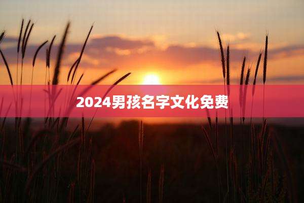 2024男孩名字文化免费