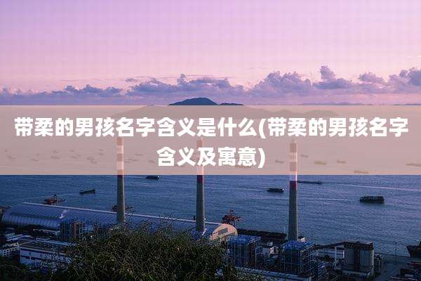 带柔的男孩名字含义是什么(带柔的男孩名字含义及寓意)