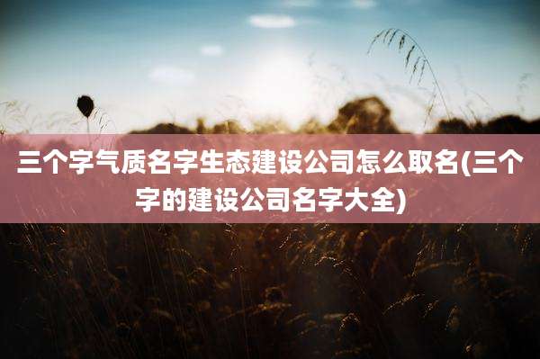 三个字气质名字生态建设公司怎么取名(三个字的建设公司名字大全)