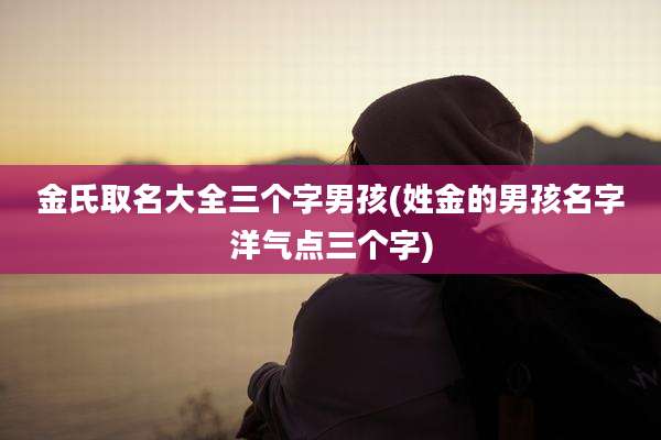 金氏取名大全三个字男孩(姓金的男孩名字洋气点三个字)