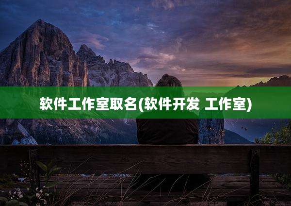 软件工作室取名(软件开发 工作室)