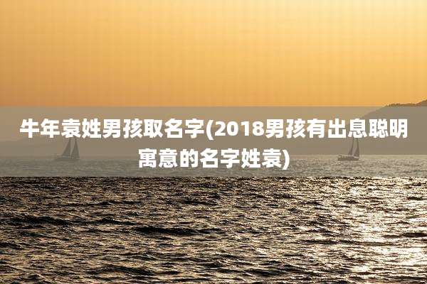 牛年袁姓男孩取名字(2018男孩有出息聪明寓意的名字姓袁)