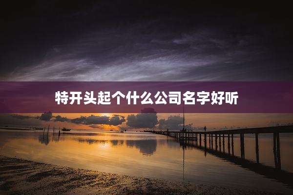 特开头起个什么公司名字好听