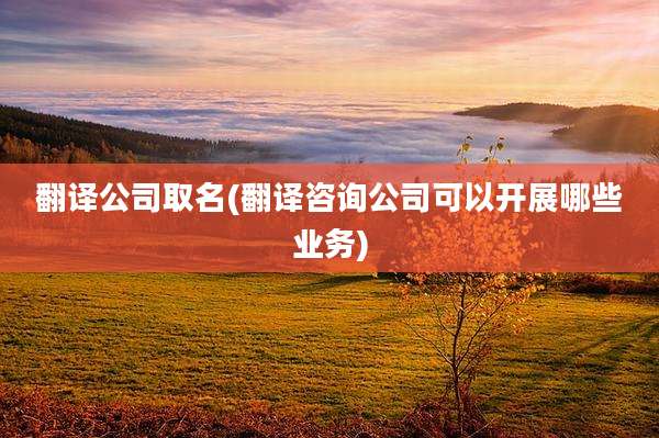翻译公司取名(翻译咨询公司可以开展哪些业务)