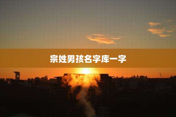 宗姓男孩名字库一字