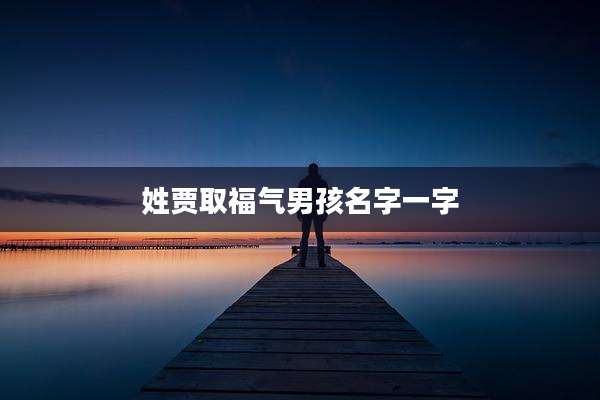 姓贾取福气男孩名字一字