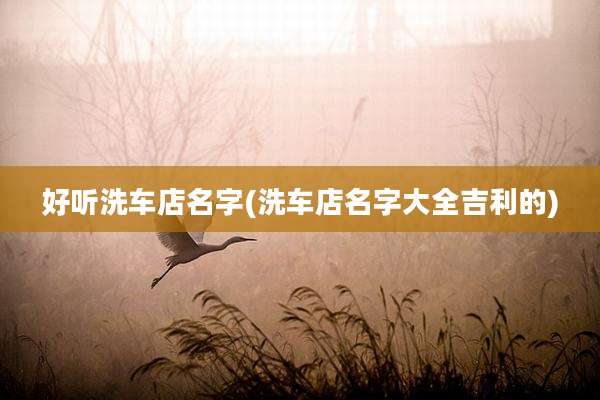 好听洗车店名字(洗车店名字大全吉利的)