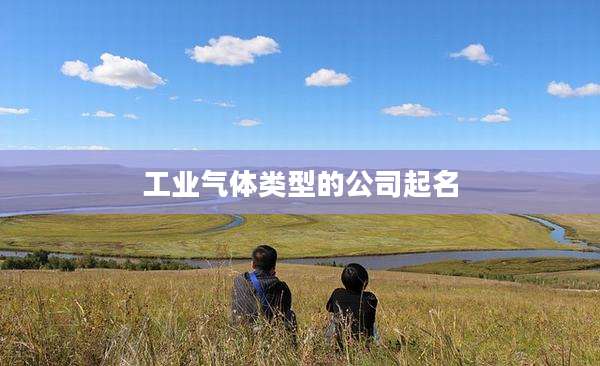 工业气体类型的公司起名