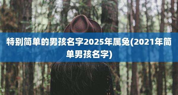 特别简单的男孩名字2025年属兔(2021年简单男孩名字)