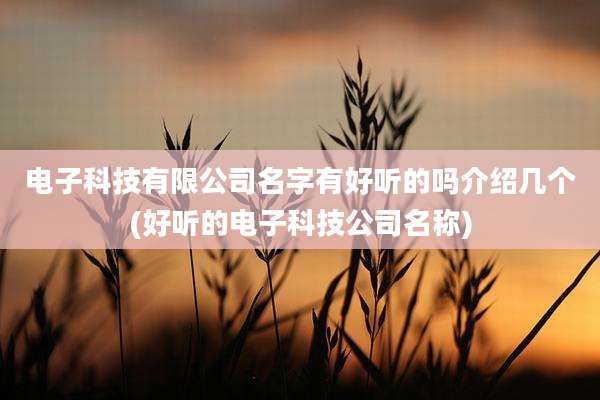 电子科技有限公司名字有好听的吗介绍几个(好听的电子科技公司名称)