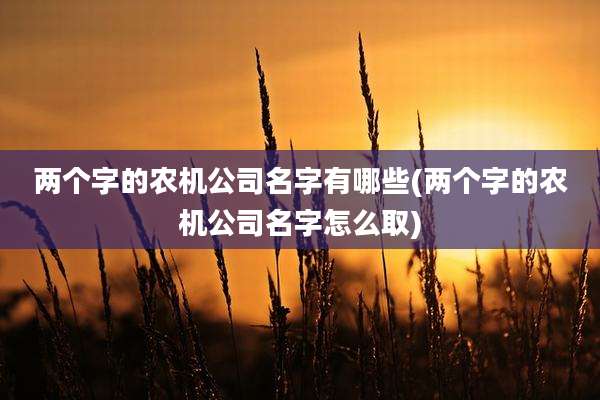 两个字的农机公司名字有哪些(两个字的农机公司名字怎么取)