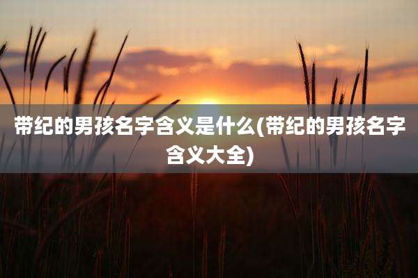 带纪的男孩名字含义是什么(带纪的男孩名字含义大全)