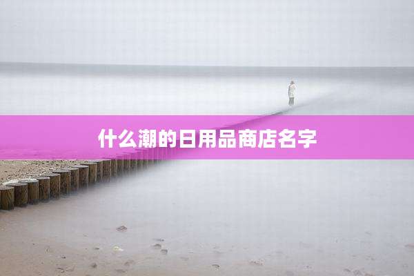 什么潮的日用品商店名字