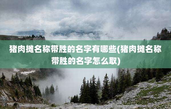猪肉摊名称带胜的名字有哪些(猪肉摊名称带胜的名字怎么取)