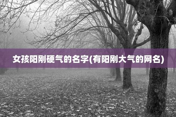 女孩阳刚硬气的名字(有阳刚大气的网名)