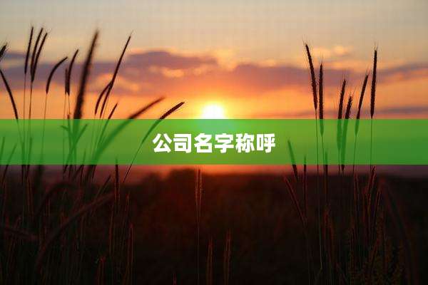 公司名字称呼